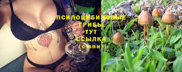 Альфа ПВП Саяногорск