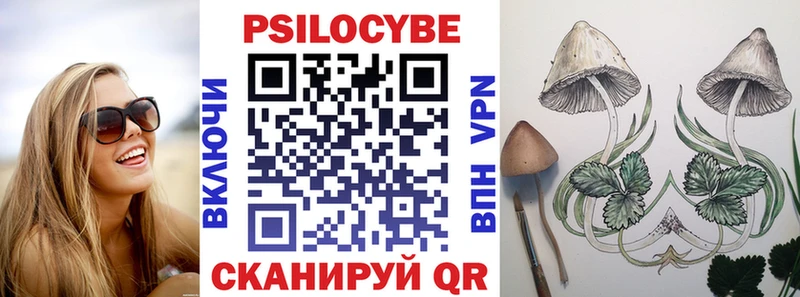 как найти закладки  omg ТОР  Галлюциногенные грибы Psilocybine cubensis  Сунжа 